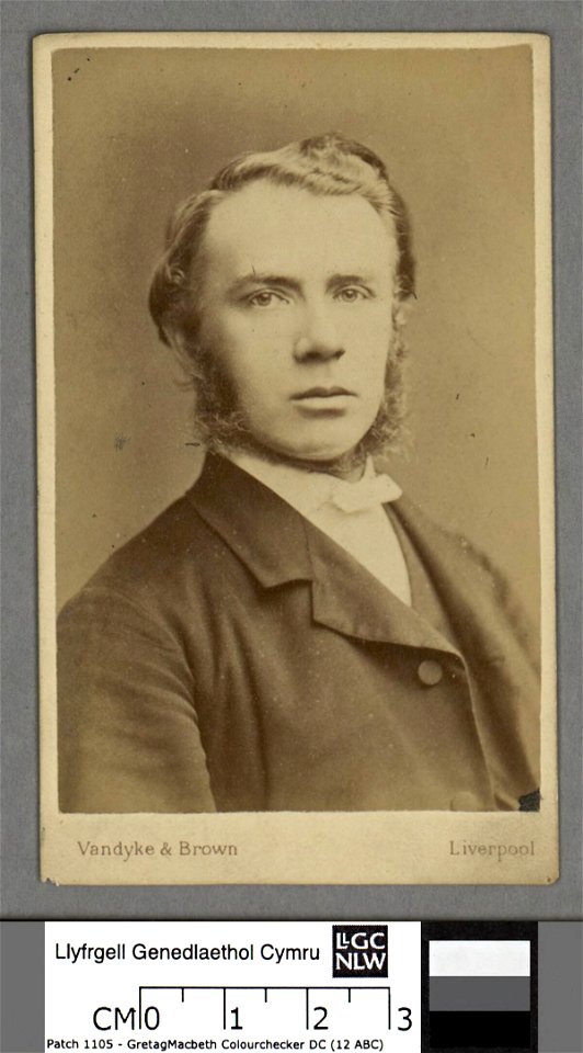Portrait of Thomas Charles Edwards (4674362)