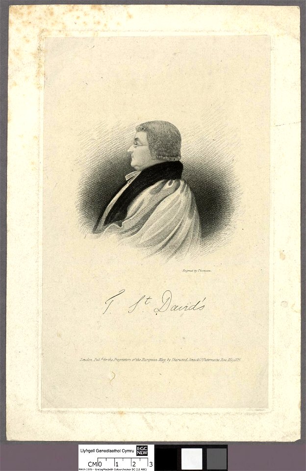 Portrait of T. St. David's (4674057)