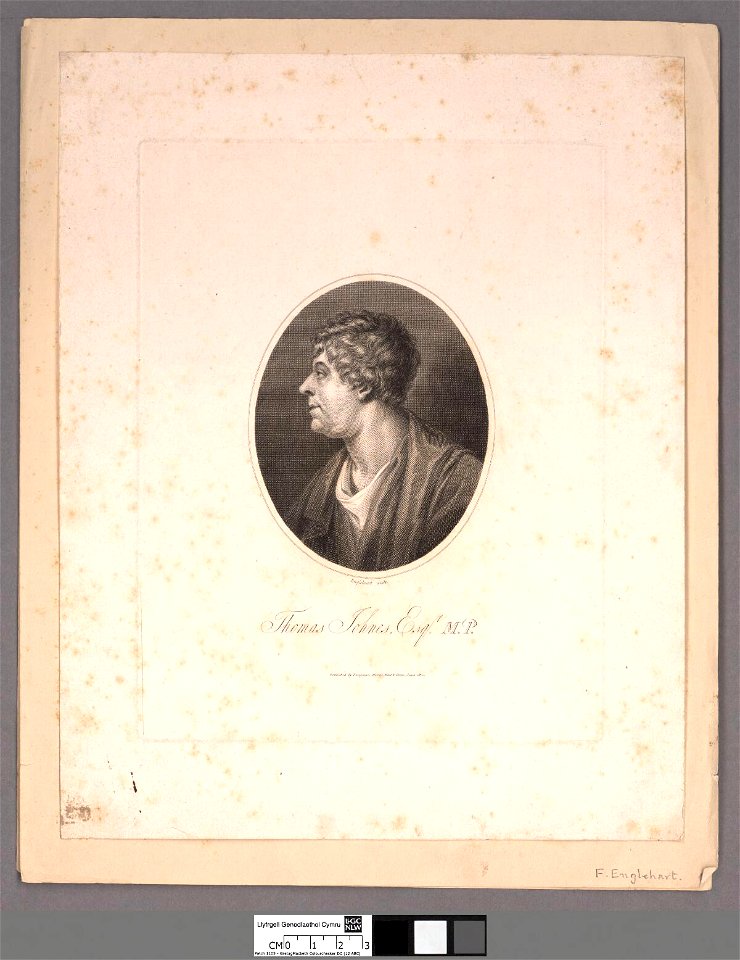 Portrait of Thomas Johnes, Esqr. M.P (4670954)
