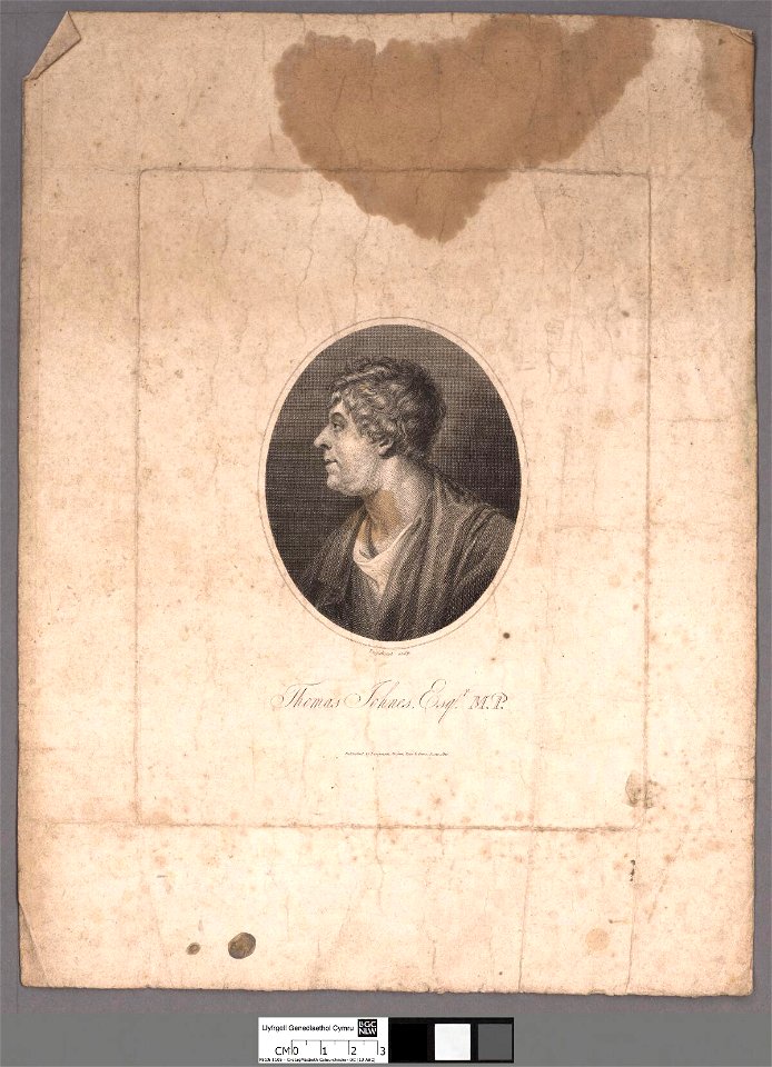 Portrait of Thomas Johnes, Esqr. M.P (4670955)