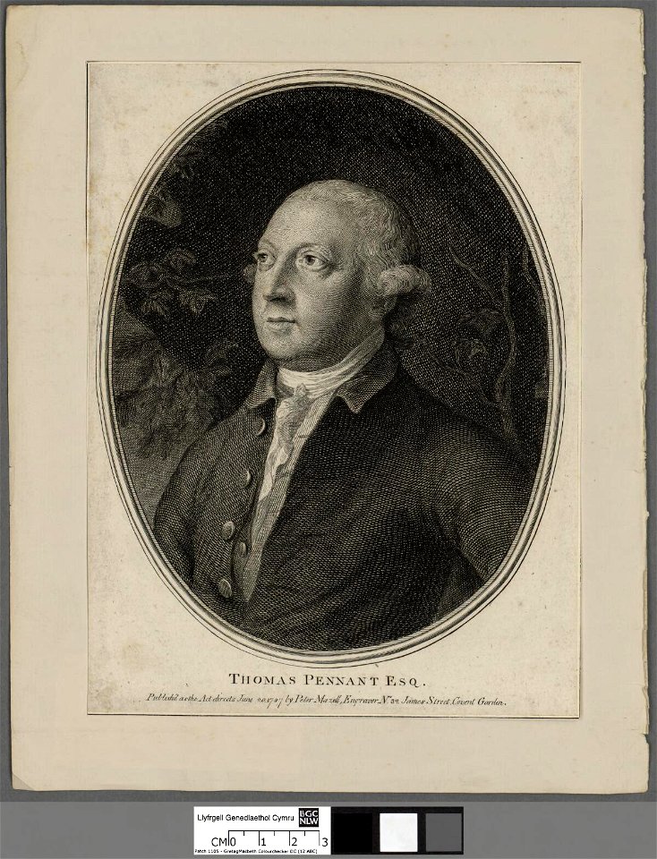 Portrait of Thomas Pennant Esq (4671757)