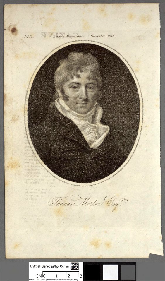 Portrait of Thomas Morton Esqr (4672971)