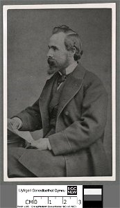 Portrait of W. Mortimer Lewis (4670575)