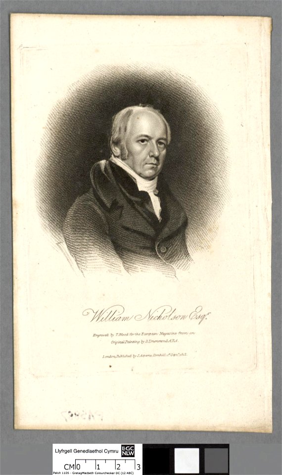 Portrait of William Nicholson Esqr (4670229)