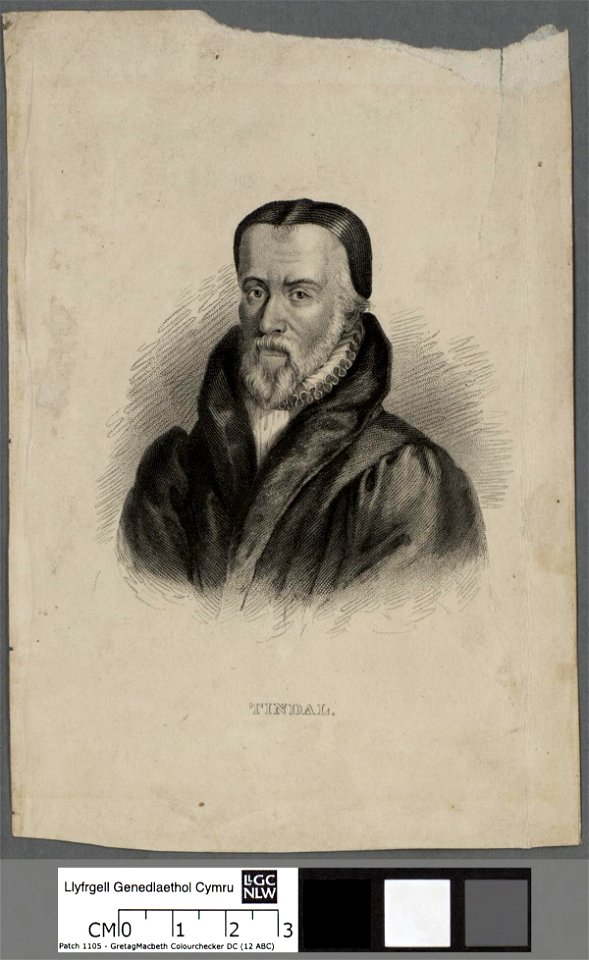 Portrait of Tindal (4672087)