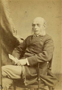 Portrait of W. Rathbone M.P (4670469)