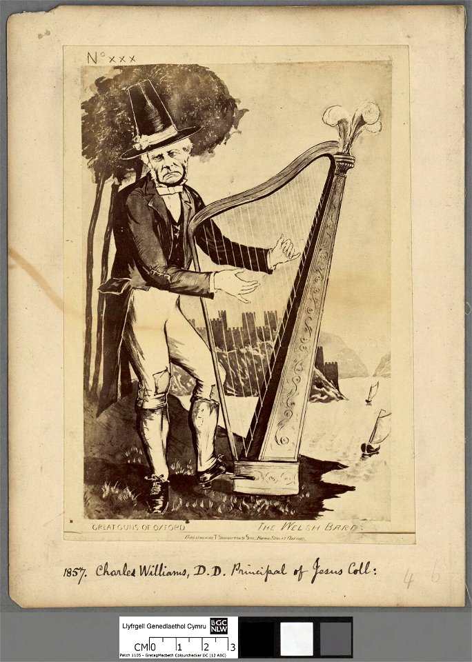 Portrait of The Welsh Bard (4672167)