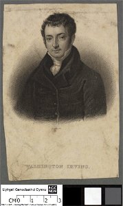 Portrait of Washington Irving (4674138)