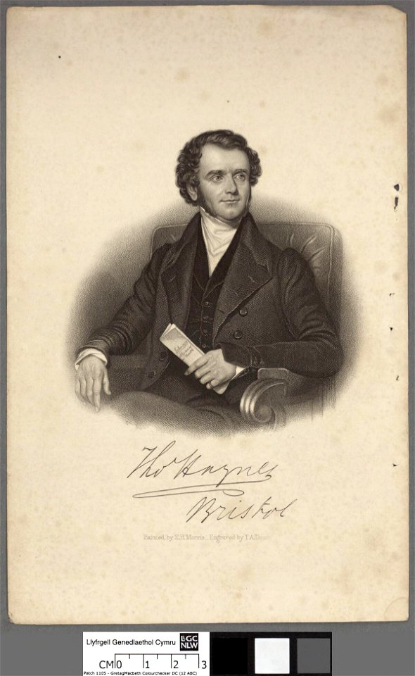 Portrait of Thomas Haynes (4672572)