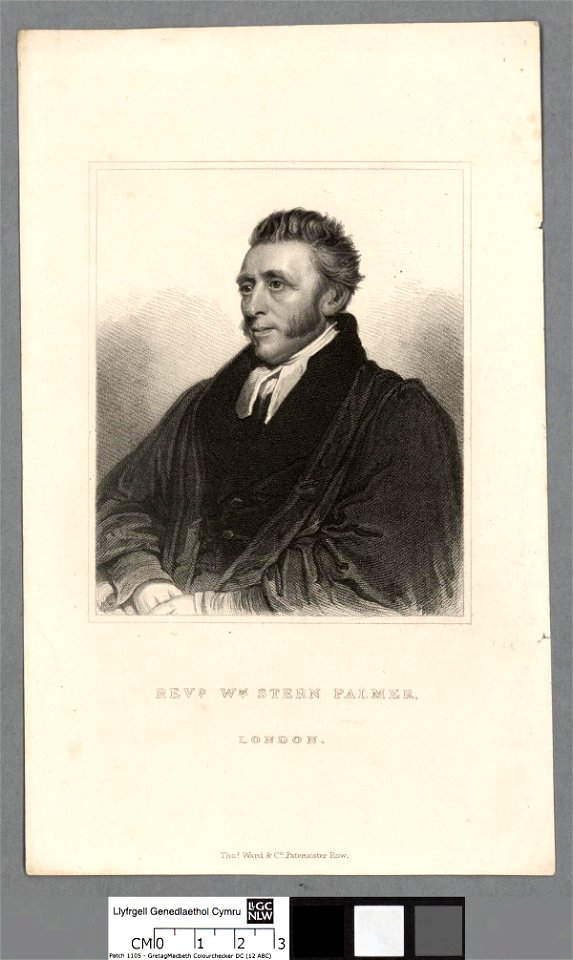 Portrait of Wm. Stern Palmer (4672978)