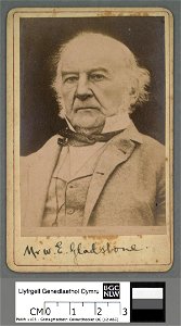 Portrait of W. E. Gladstone (4673090)