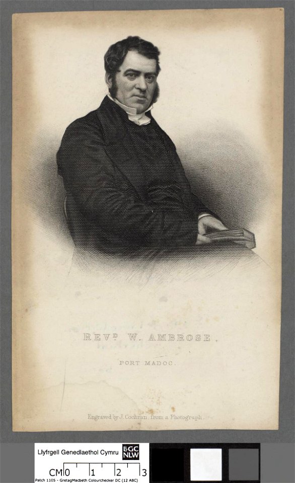 Portrait of W. Ambrose (4672777)