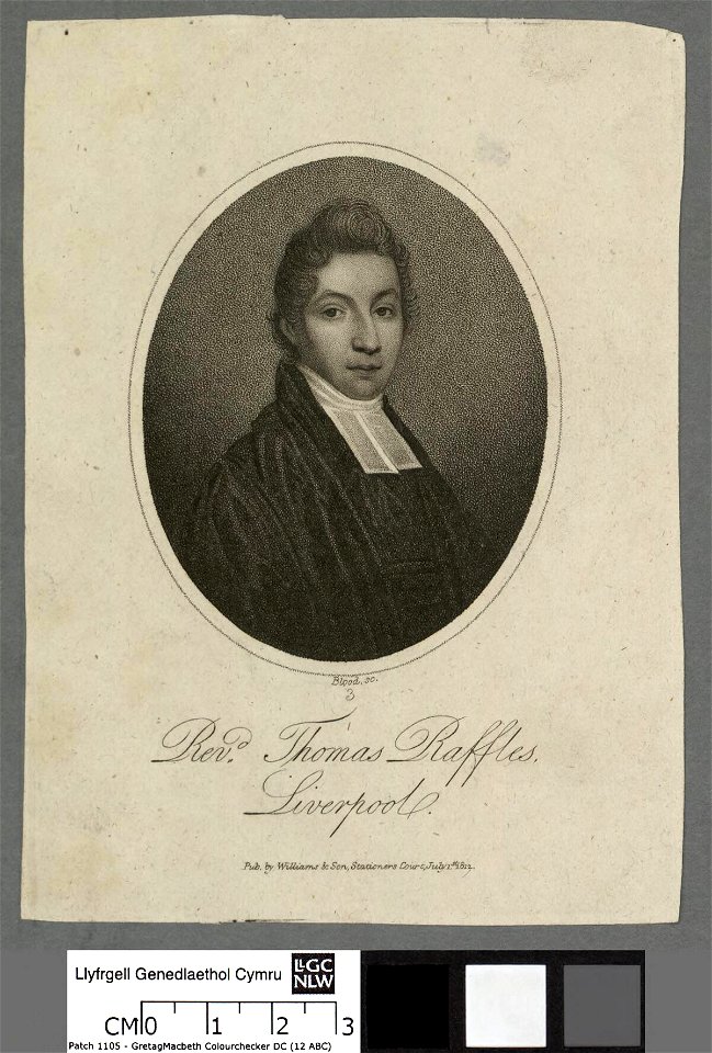 Portrait of Thomas Raffles (4672679)