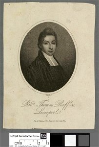 Portrait of Thomas Raffles (4672679)