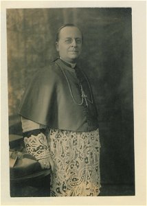 Portrait, cardinal (HS85-10-31818) original