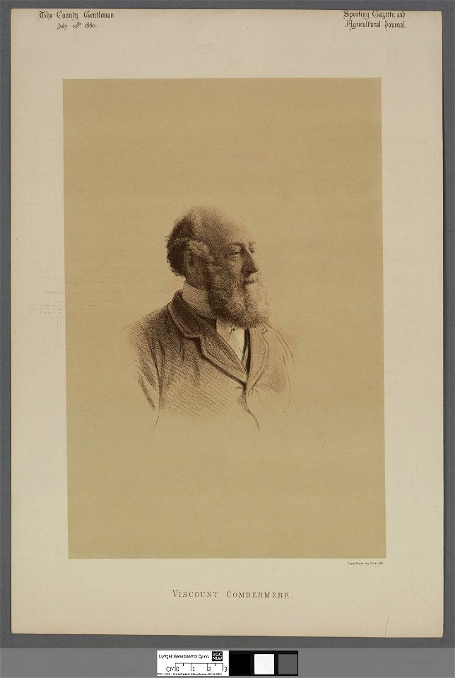 Portrait of Viscount Combermere (4671424)