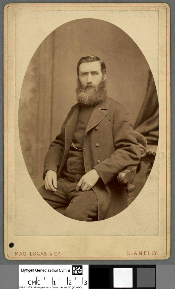 Portrait of William Thomas Rees, 'Alaw Ddu' (4670485)