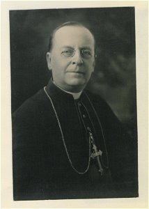 Portrait, cardinal (HS85-10-31817) original