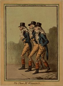 Portrait of The three Mr. Wiggins's (4671654)