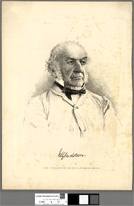 Portrait of William Ewart Gladstone (4672317)