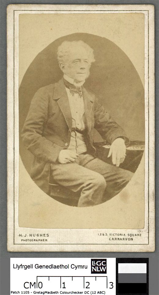 Portrait of William Bulkeley Hughes (of Plas Coch, Anglesey) (4670282)