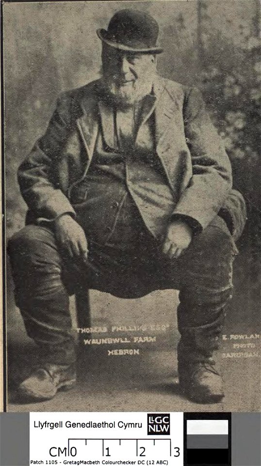 Portrait of Thomas Phillips Esqr., Waunbwll Farm, Hebron (4674224)