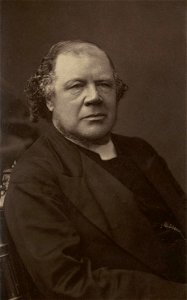 Portrait of William Morley Punshon (4670529)