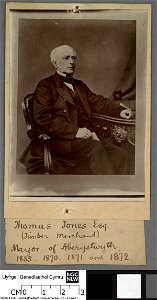 Portrait of Thomas Jones Esq (4670362)