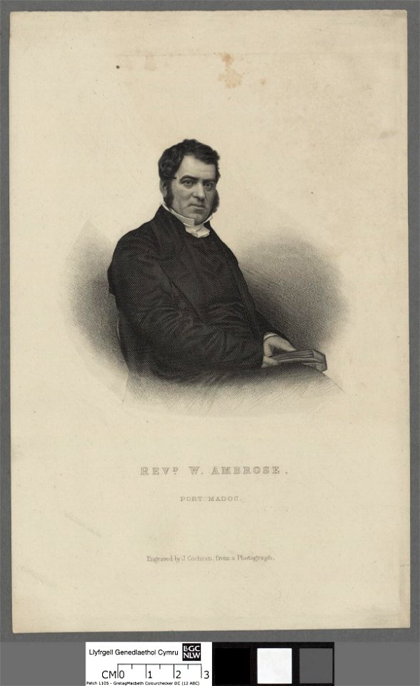 Portrait of W. Ambrose (4672778)