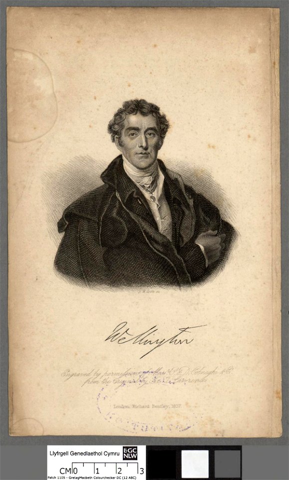 Portrait of Wellington (4673535)