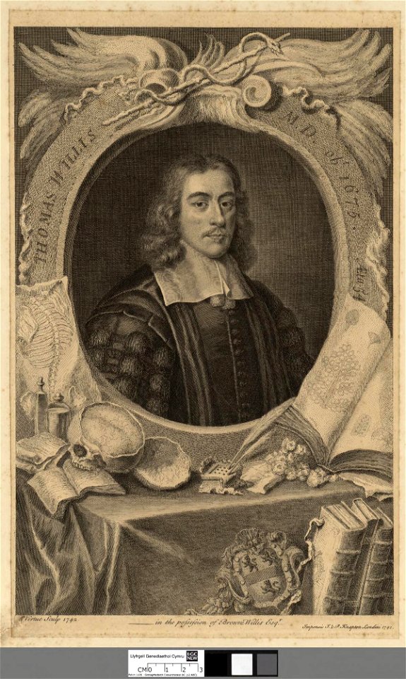 Portrait of Thomas Willis M.D (4674650)