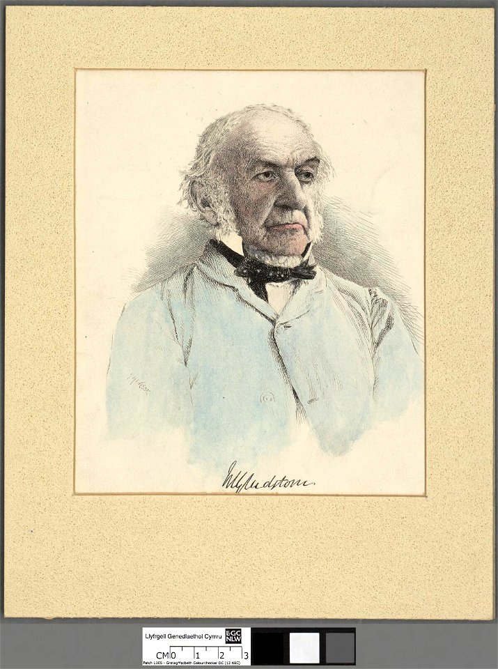 Portrait of W. E. Gladstone (4671109)