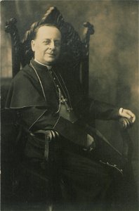Portrait, cardinal (HS85-10-31819)