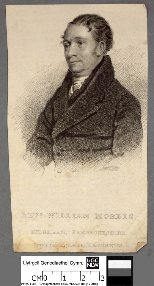Portrait of William Morris, Kilgeran, Pembrokeshire (4674440)