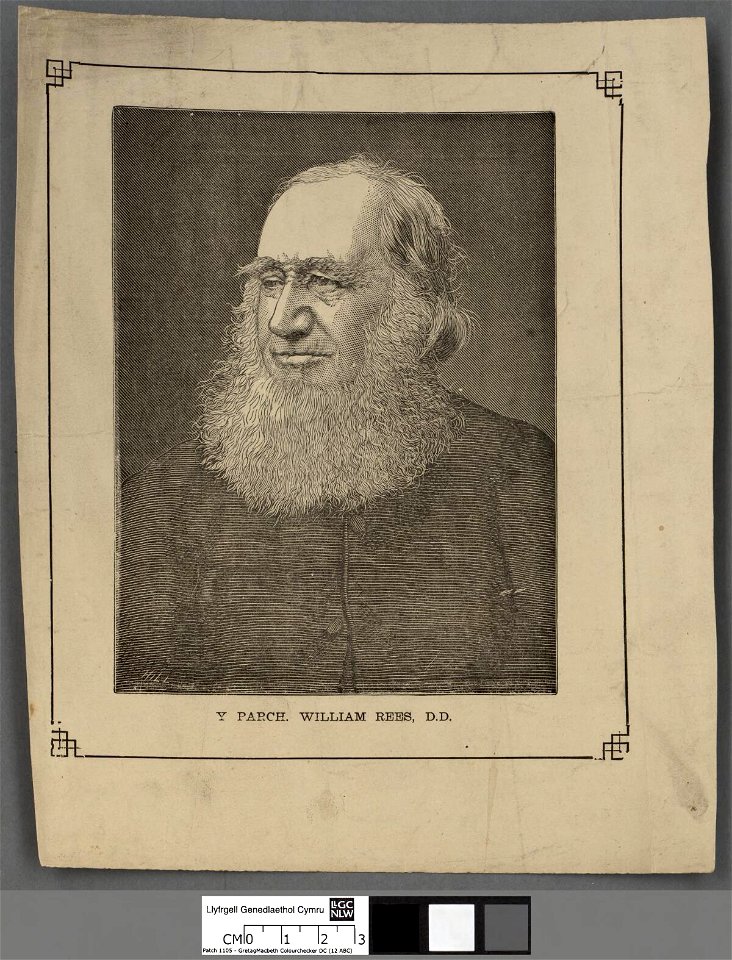 Portrait of Y Parch. William Rees, D.D (4671858)