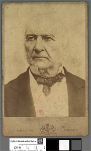 Portrait of William Ewart Gladstone (4672755)
