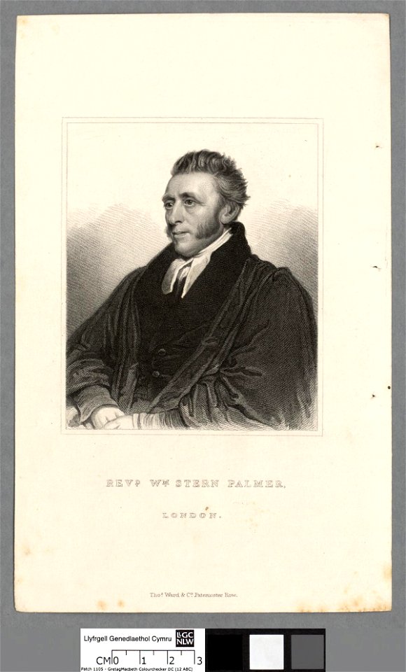 Portrait of Wm. Stern Palmer (4669868)