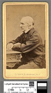Portrait of W. E. Gladstone, M. P (4672752)