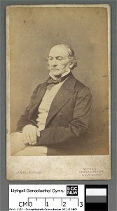Portrait of William Gladstone (4672758)