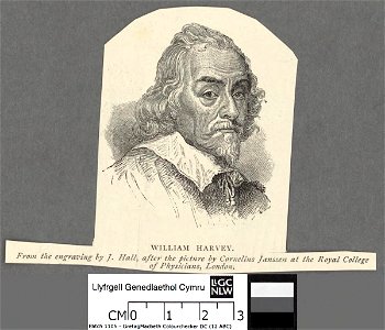 Portrait of William Harvey (4672567)