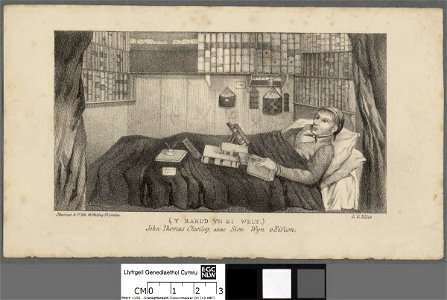 Portrait of Y bardd yn ei wely (4673191)