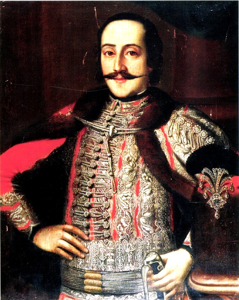 Portrait of Zsigmon Széchényi 1760s