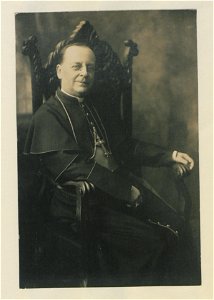 Portrait, cardinal (HS85-10-31819) original