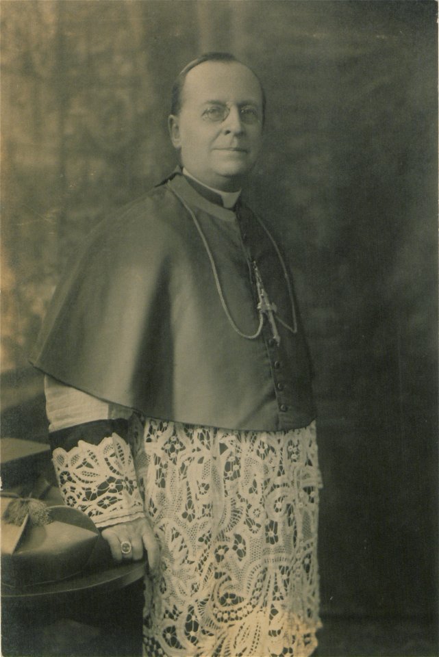 Portrait, cardinal (HS85-10-31818)