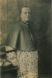 Portrait, cardinal (HS85-10-31818)
