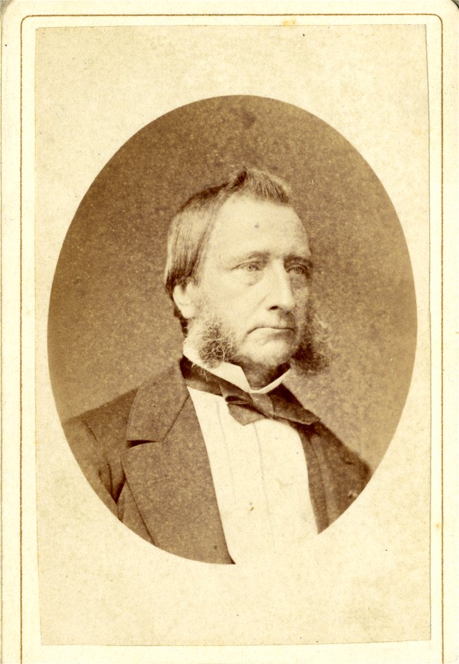 Portret van Willem Richard Boer (1818-1894)