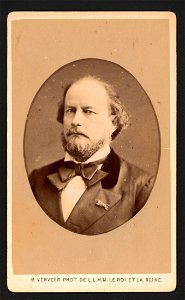 Portret van Jan Helenus Ferguson