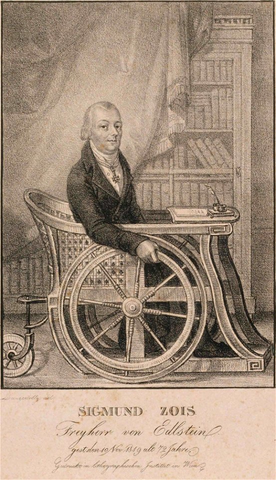 Portret Žige Zoisa