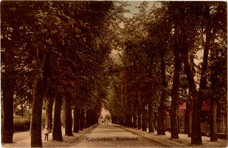 Postcard 80 T Kapellerlaan, Roermond recto