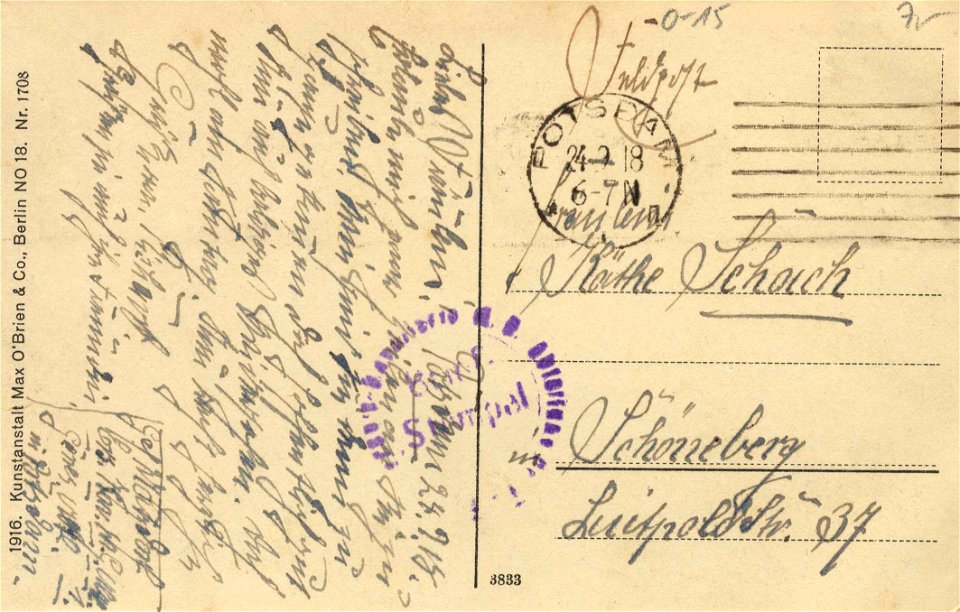 Potsdam, Brandenburg - Stadtschloss (back) (Zeno Ansichtskarten)